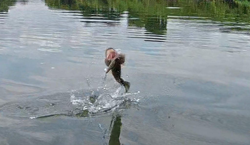 バスが水面からジャンプした瞬間
